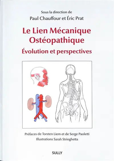 Le lien mécanique ostéopathique : évolution et perspectives