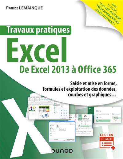 Travaux pratiques Excel : de Excel 2013 à Office 365 : saisie et mise en forme, formules et exploitation des données, courbes et graphiques...