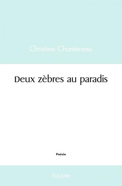 Deux zèbres au paradis