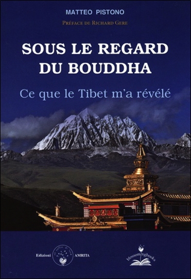 Sous le regard du Bouddha : ce que le Tibet m'a révélé