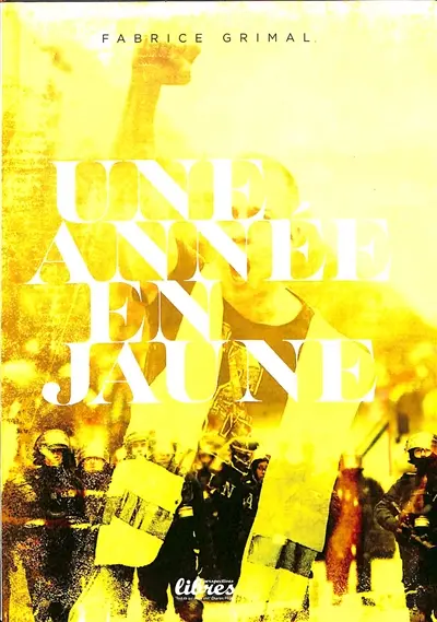 Une année en jaune