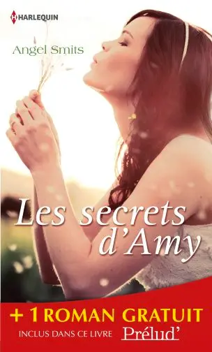 Les secrets d'Amy. Les lumières de Noël