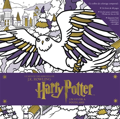 Harry Potter, un hiver à Poudlard : le monde des sorciers de J.K. Rowling