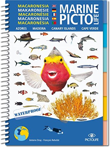 Pictolife Macaronésie : Azores, Madeira, Canary Islad, Cape Verde