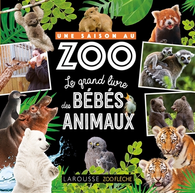 Une saison au zoo : le grand livre des bébés animaux