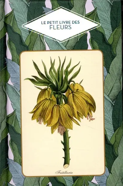 To love : darkness : édition spéciale