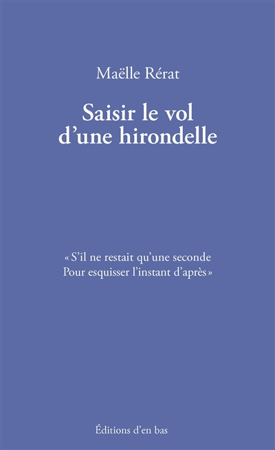 Saisir le vol d'une hirondelle