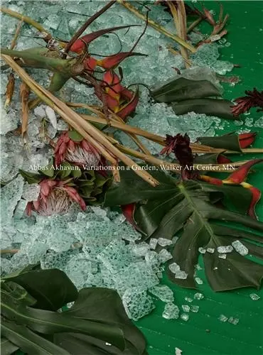 Abbas Akhavan : Variations on a Garden