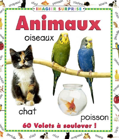 Animaux oiseaux