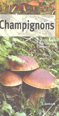 Champignons des forêts : bolets, amanites, lactaires, russules :  reconnaître et découvrir les champignons les plus répandus dans nos bois -  Librairie Mollat Bordeaux