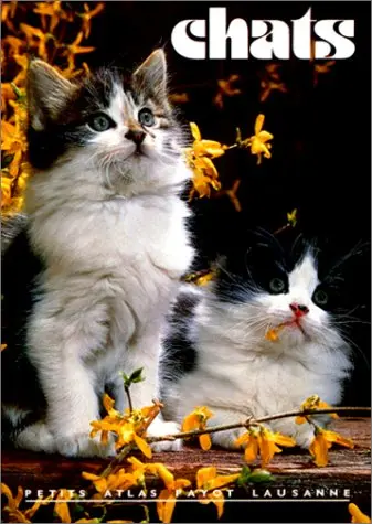 Chats