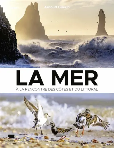 La mer : à la rencontre des côtes et du littoral