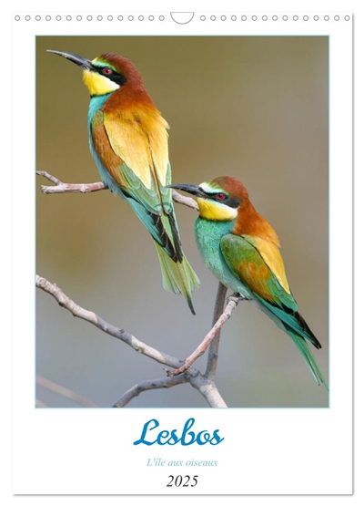 Lesbos l'île aux oiseaux...