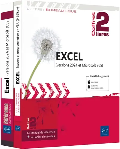 Excel (versions 2024 et Microsoft 365) : coffret 2 livres