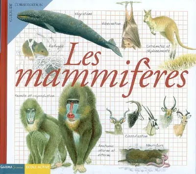 Les mammifères