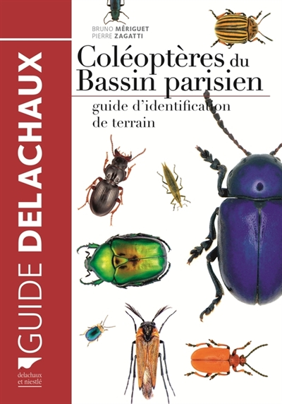 Coléoptères du Bassin parisien : guide d'identification de terrain