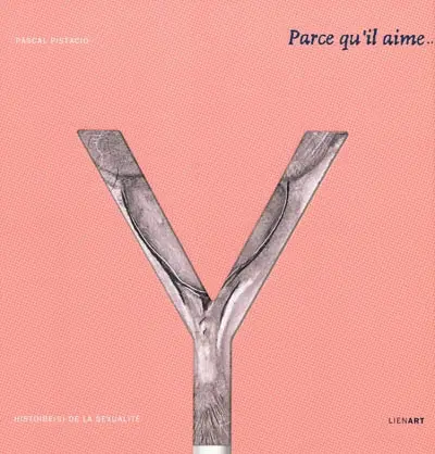 Parce qu'il aime ce qu'il n'a pas : histoire(s) de la sexualité