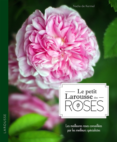 Le petit Larousse des roses : les 500 meilleures roses conseillées par les meilleurs spécialistes