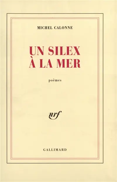 Un Silex à la mer