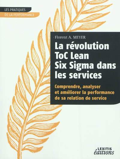 La révolution ToC Lean Six Sigma dans les services : comprendre, analyser et améliorer la performance de sa relation de service