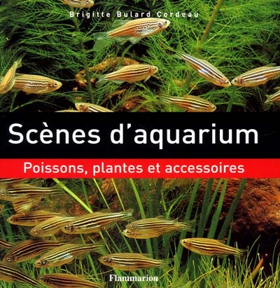 Scènes d'aquarium : poissons, plantes et accessoires
