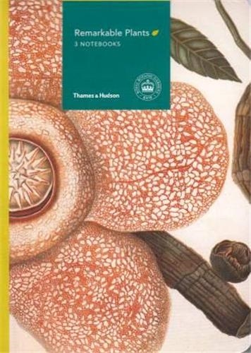 Remarkable Plants : 3 Notebooks - A6 (Petit)