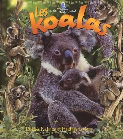 Les koalas