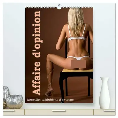 Affaire d'opinion – Nouvelles définitions d'aperçus (Calendrier mural 2026 DIN A2 horizontal) calendrier de bureau : Nouvelles définitions d'aperçus érotiques