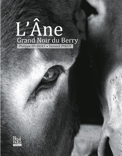 L'âne grand noir du Berry