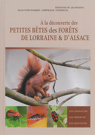 A la découverte des petites bêtes des forêts de Lorraine & d'Alsace