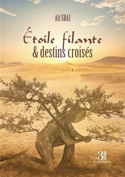 Etoile filante & destins...
