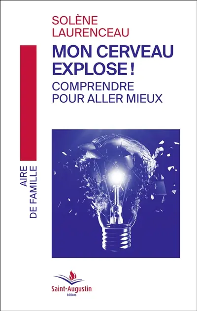 Mon cerveau explose ! : comprendre pour aller mieux