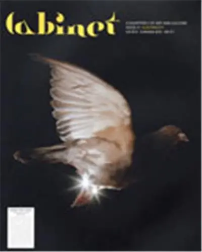 Cabinet 21 : Electricity