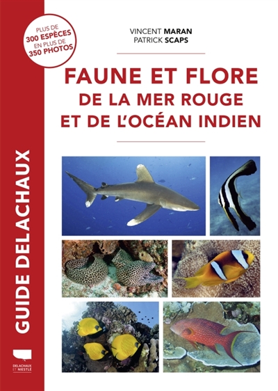 Faune et flore de la mer Rouge et de l'océan Indien