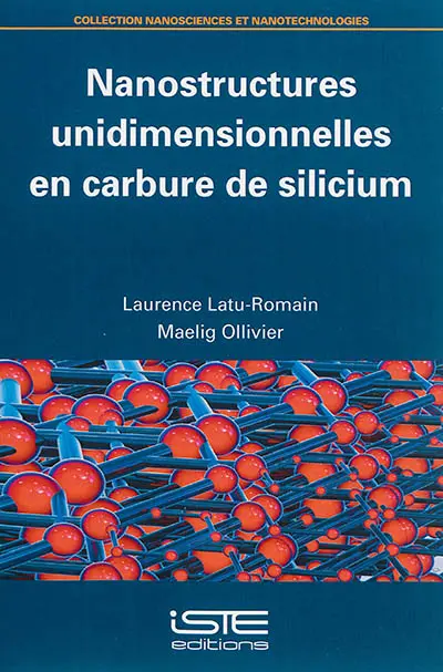 Nanostructures unidimensionnelles en carbure de silicium
