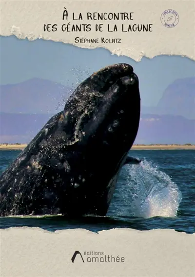 A la rencontre des géants de la lagune