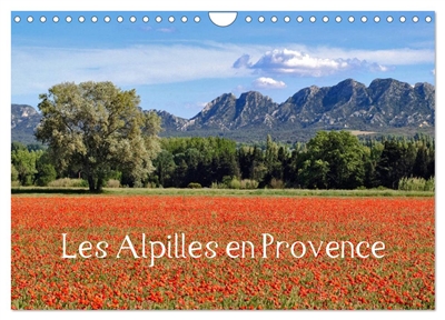Les Alpilles en Provence (Calendrier mural 2025 DIN A4 vertical), CALVENDO calendrier mensuel : Regard sur les paysages du Parc Naturel Régional des Alpilles.