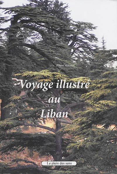 Voyage illustré au Liban