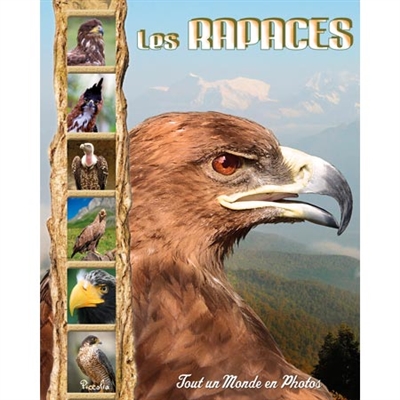 Les rapaces