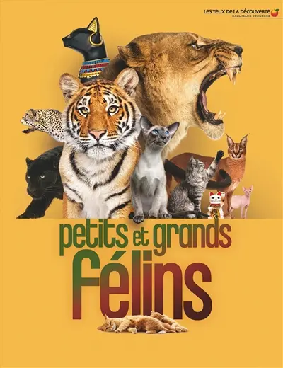 Petits et grands félins Petits et grands félins