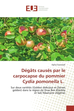 Dégâts causés par le...