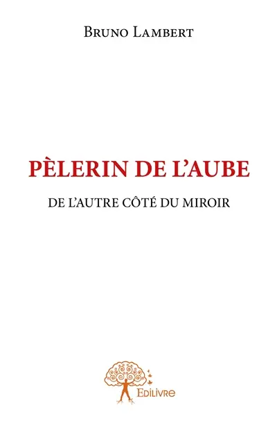 Pèlerin de l'aube : De l'autre côté du miroir