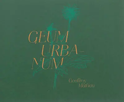 Geum urbanum : Tanger, Marseille, Edimbourg