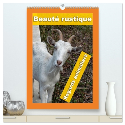 Beauté rustique Regards...