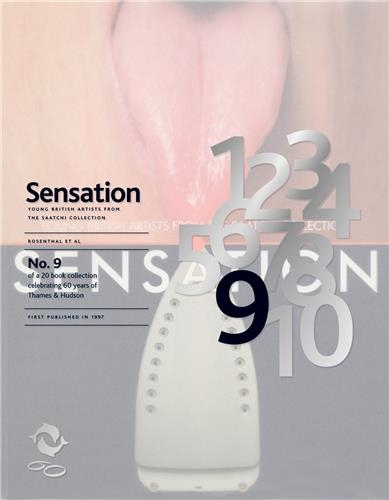 Sensation No. 9 Young British Artists from the Saatchi Collection