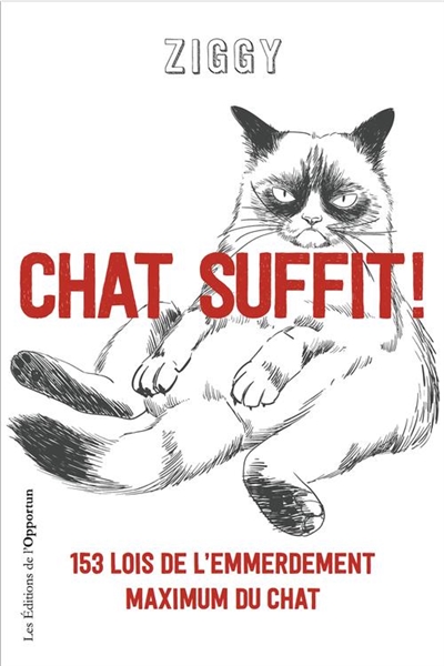 Chat suffit ! : 153 lois de l'emmerdement maximum du chat - Ziggy
