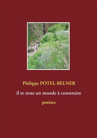 Il te reste un monde à construire : poésies