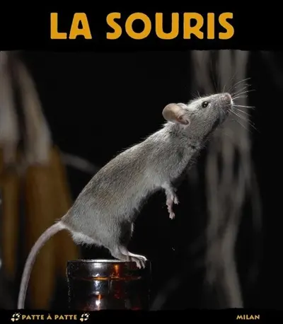 La souris