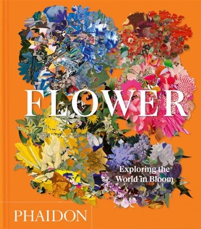 Flower : exploring the...