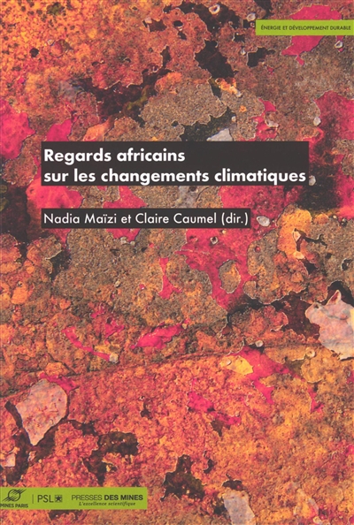 Regards africains sur les...